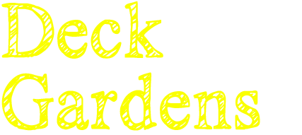 rev-slider-1-text-b2-ez