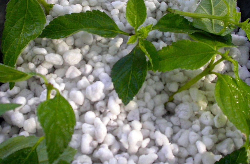 Perlite