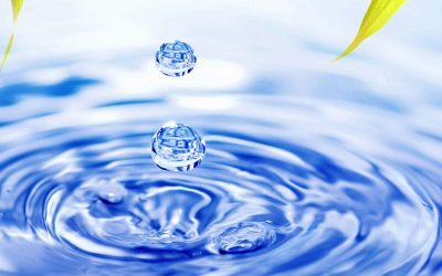What is Hydroponics?