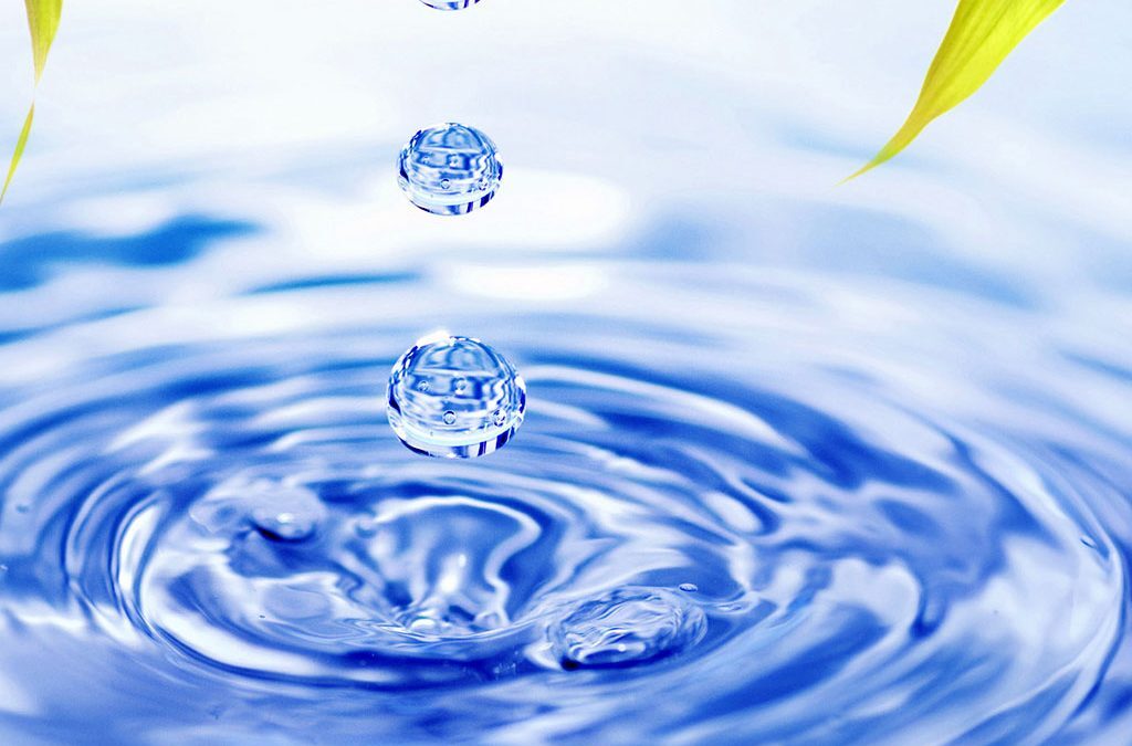 What is Hydroponics?