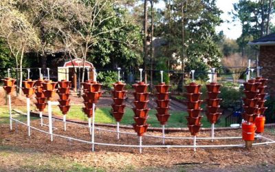 Backyard EzGro Garden by Bob from SC