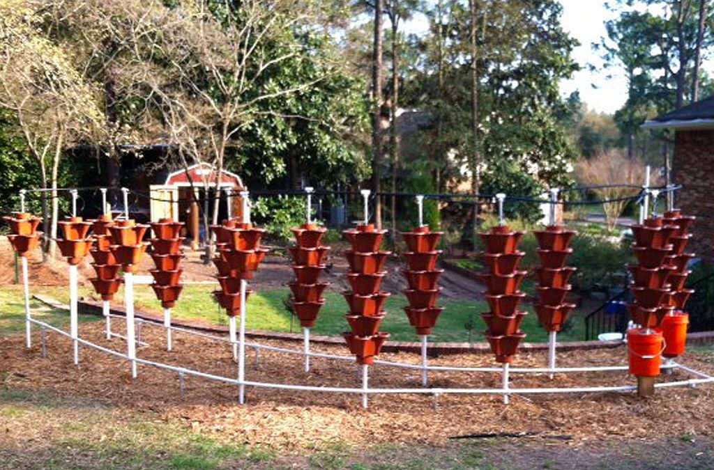 Backyard EzGro Garden by Bob from SC