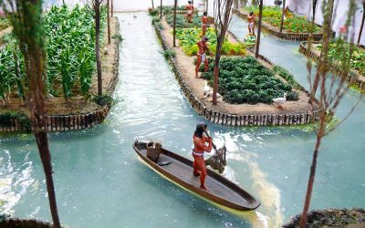Discover the Secrets of Aztec Chinampas of Central America