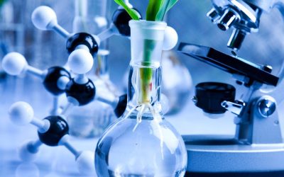 An overview of Hydroponics