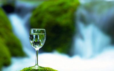 What Are the Best Water Types for Hydroponics