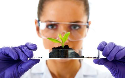 What is Agroponics
