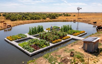 Floating Gardens: A Powerful New Solution for Food and Clean Water
