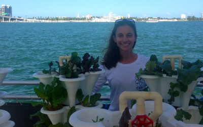 What Makes the Miami Science Barge a Unique Learning Space