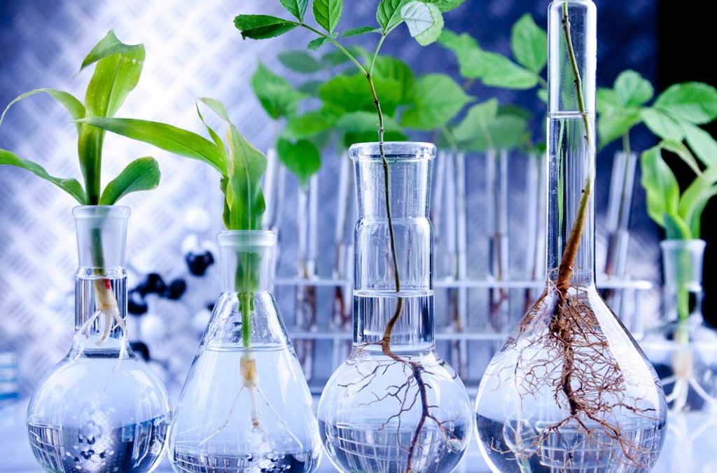 What is Aquaponics