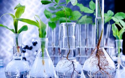 What is Aquaponics