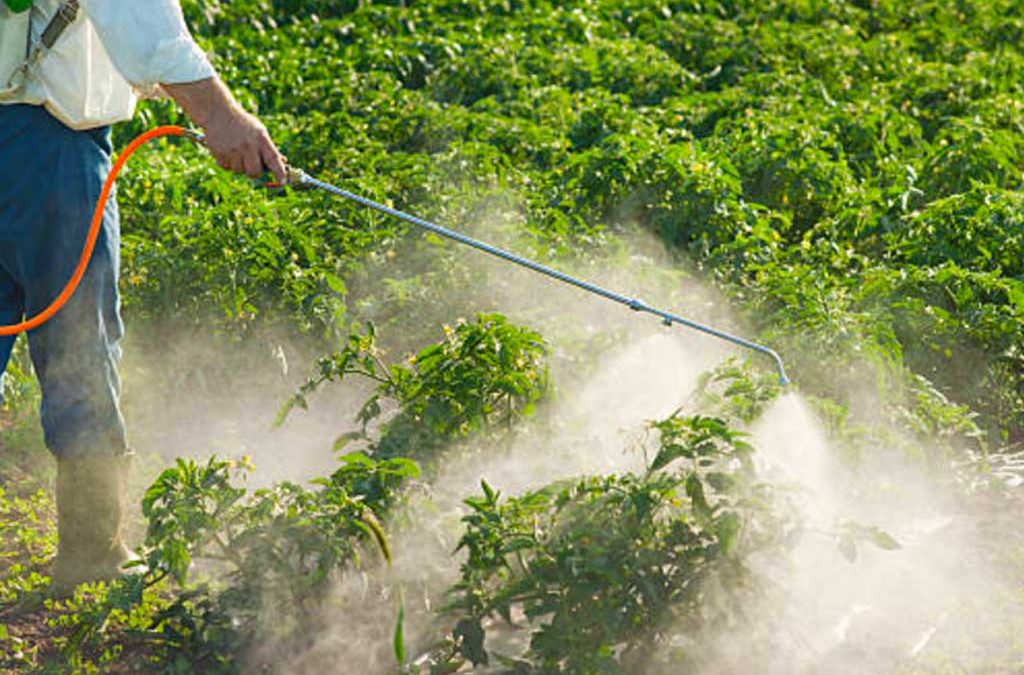 Organic Does Not Mean “No Pesticides”