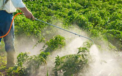 Organic Does Not Mean “No Pesticides”