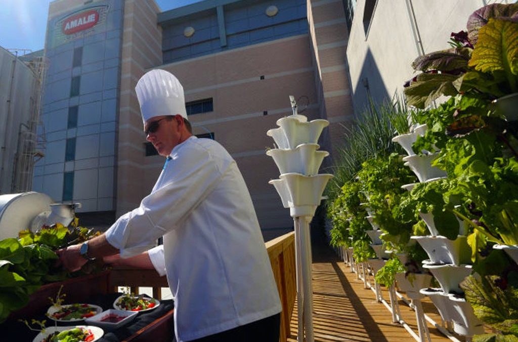 An EzGro Garden At Amalie Arena