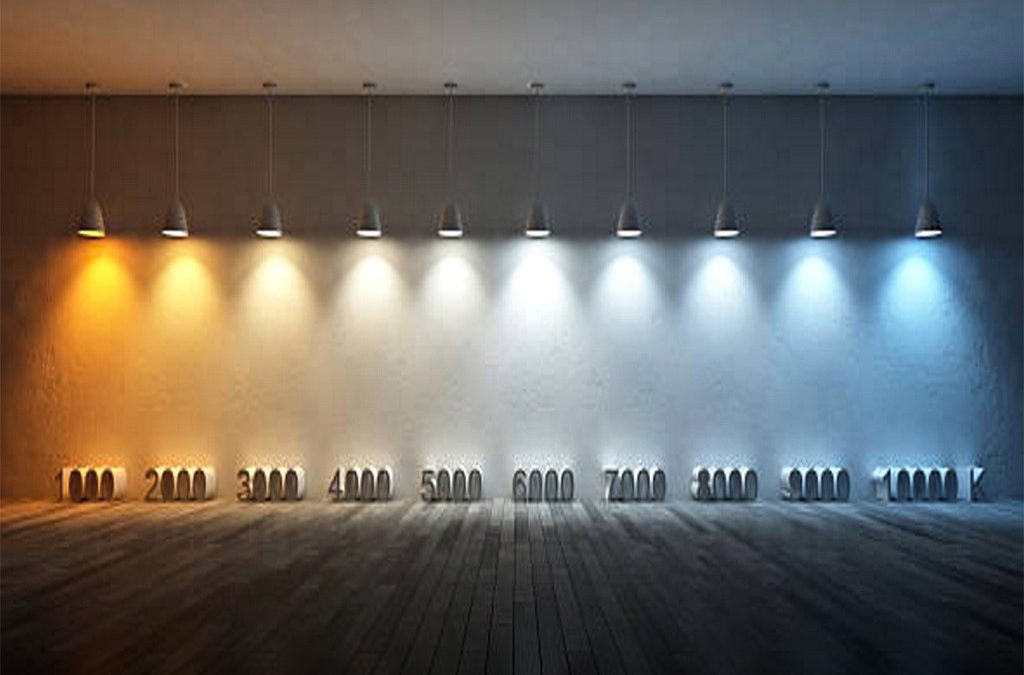 Best Light for Plant Growth