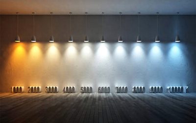 Best Light for Plant Growth