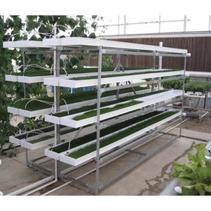 Mini Fodder Feed System