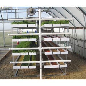 Expanded Mini Fodder Feed System