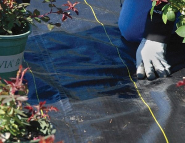Cover Rite Ground Cover