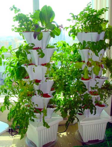 EzGro Patio Garden - Image 3