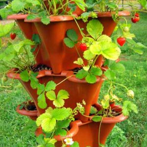 EzGro Hanging Garden