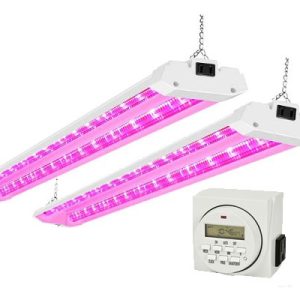 Patio Garden Lighting Kit