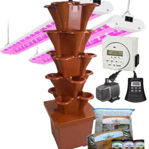 Indoor Patio Garden Bundle