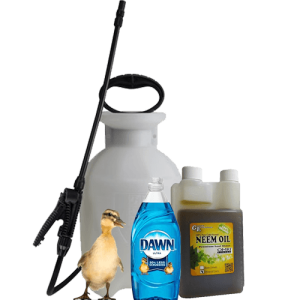 Pest Control Bundle