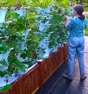 banner-3-deck-garden-377x402