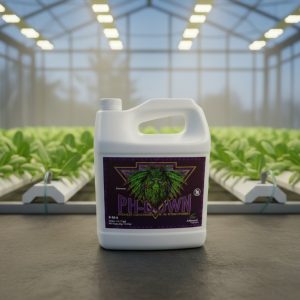 pH Down Concentrate