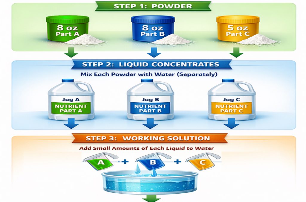 Infographic showing three-step process: powders A, B, C, then liquid concentrates A, B, C, then mixing to make a working solution in a beaker.