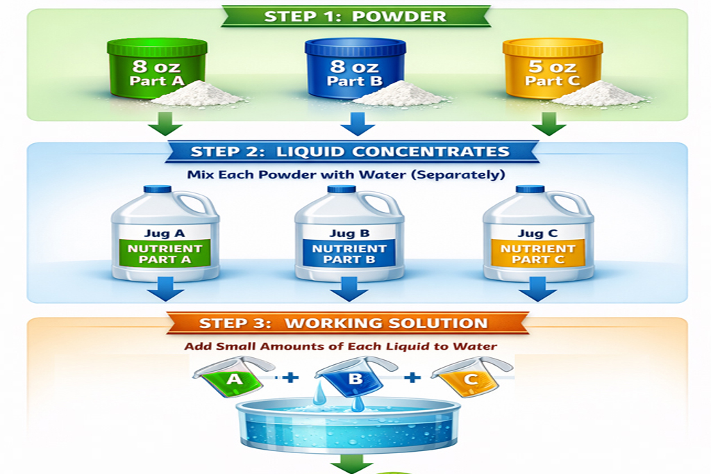 Infographic showing three-step process: powders A, B, C, then liquid concentrates A, B, C, then mixing to make a working solution in a beaker.