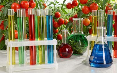 pH Levels for Hydroponics: Crop-by-Crop Cheat Sheet for Better Yields