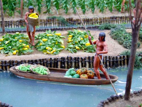 Aztec-chinampas-of-Central-America-2