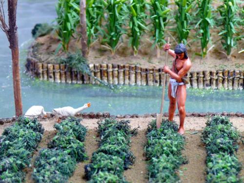 Aztec-chinampas-of-Central-America-3