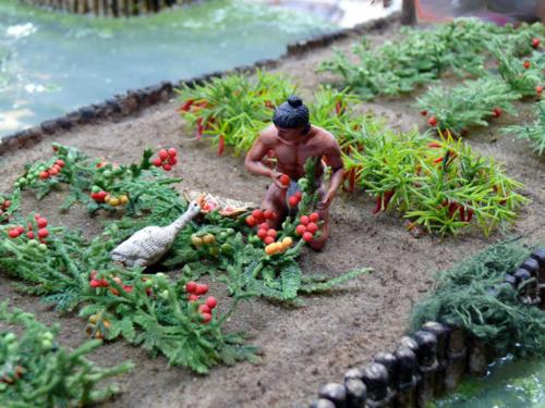 Aztec-chinampas-of-Central-America-5