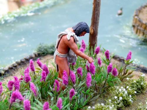 Aztec-chinampas-of-Central-America-6