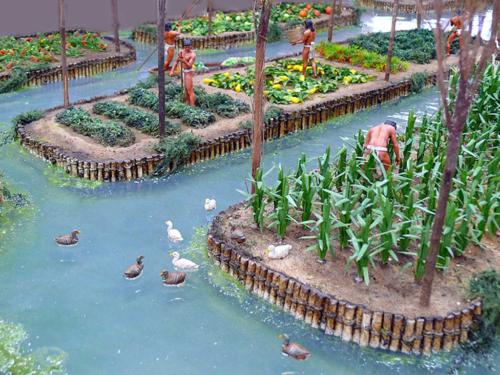 Aztec-chinampas-of-Central-America-7
