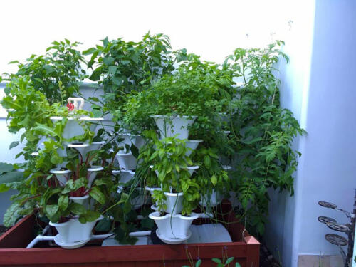 Miami-Fl-Deck-Garden