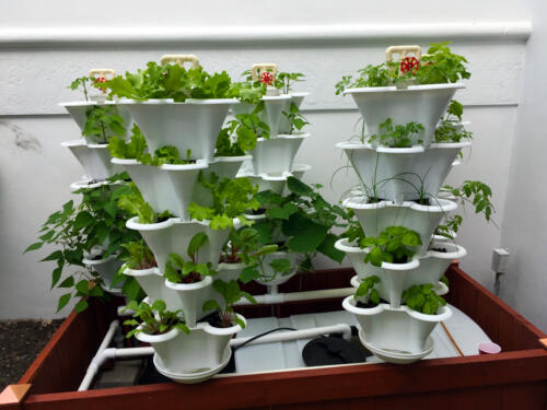 Miami Deck Garden 3
