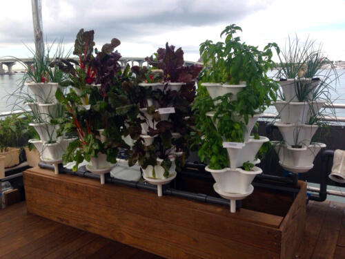 Miami Science Barge Deck Garden