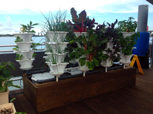 Miami Science Barge Deck Garden 2