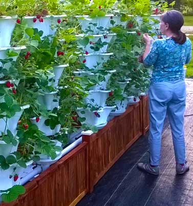 banner-3-deck-garden