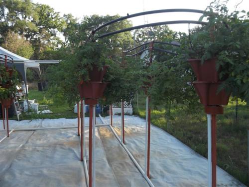 100 0835 (Large)