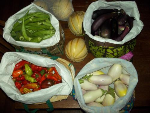 oakra-eggplant-bellpeppers