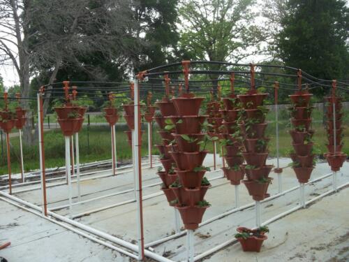 100 1372 (Medium)