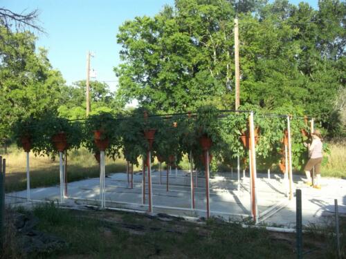 100 1525 (Medium)