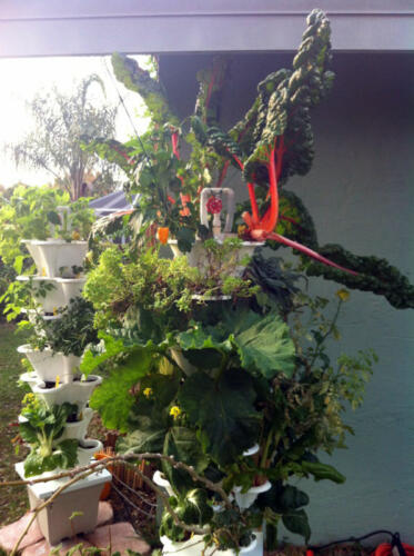 Dean-Hooper-Patio-Garden