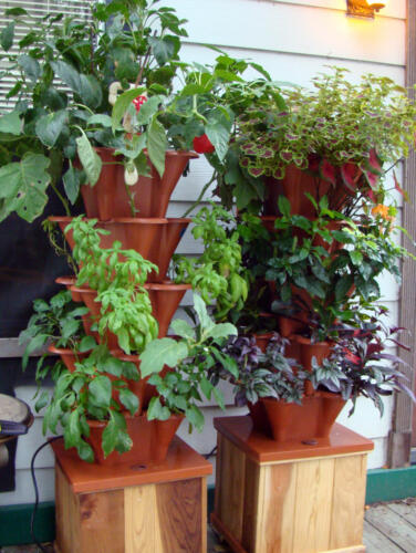 Patio-Garden-Image2