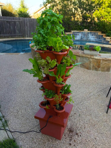 brent patio garden 2