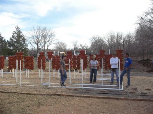 100 0309 (Large)